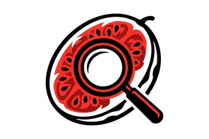 九色 - 吃瓜社Logo